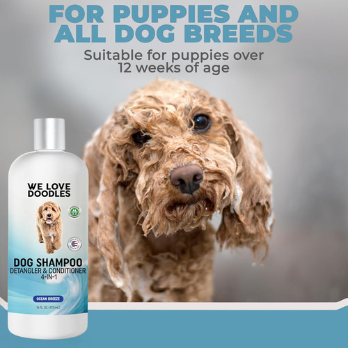 Dog shampoo conditioner - dog,