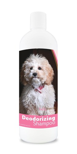 Healthy breeds cockapoo - breeds,